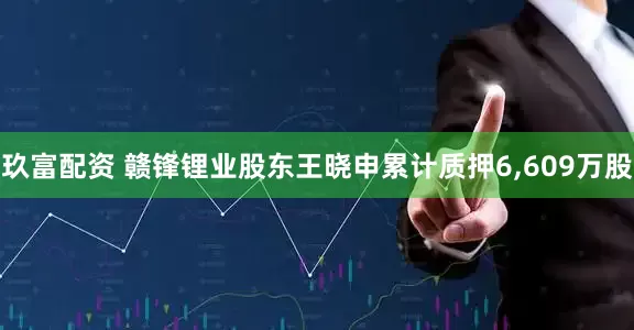 玖富配资 赣锋锂业股东王晓申累计质押6,609万股